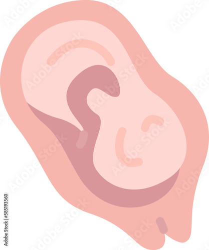 placenta  icon