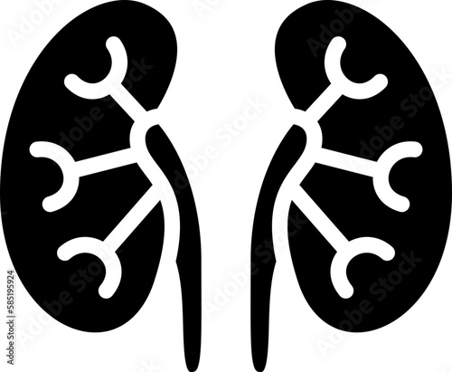 kidneys  icon