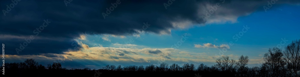 Forest, dark clouds at sunset.