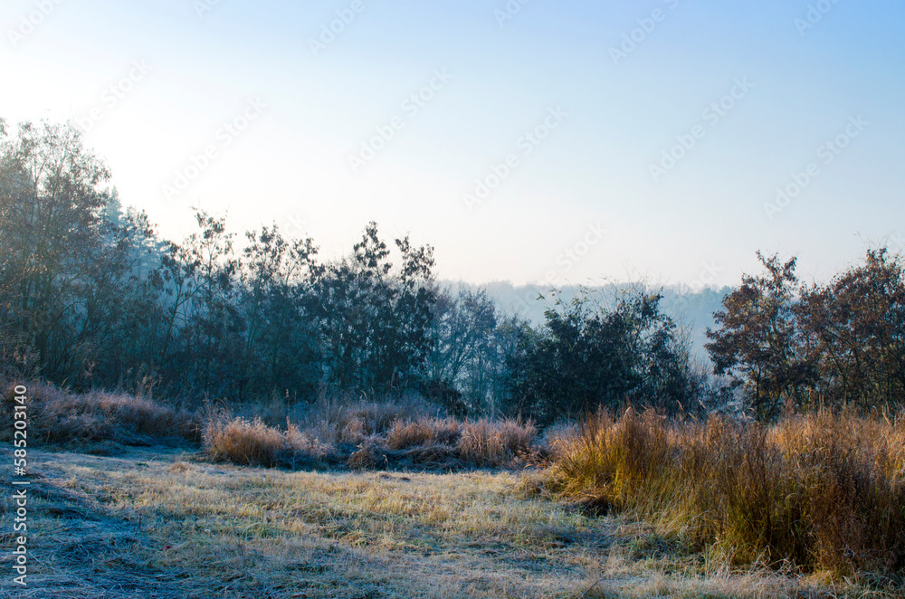 Frost on the grass of a meadow in the countryside Frost on the grass of a meadow in the countryside