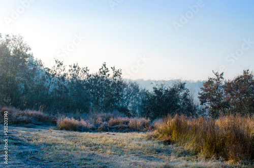 Frost on the grass of a meadow in the countryside