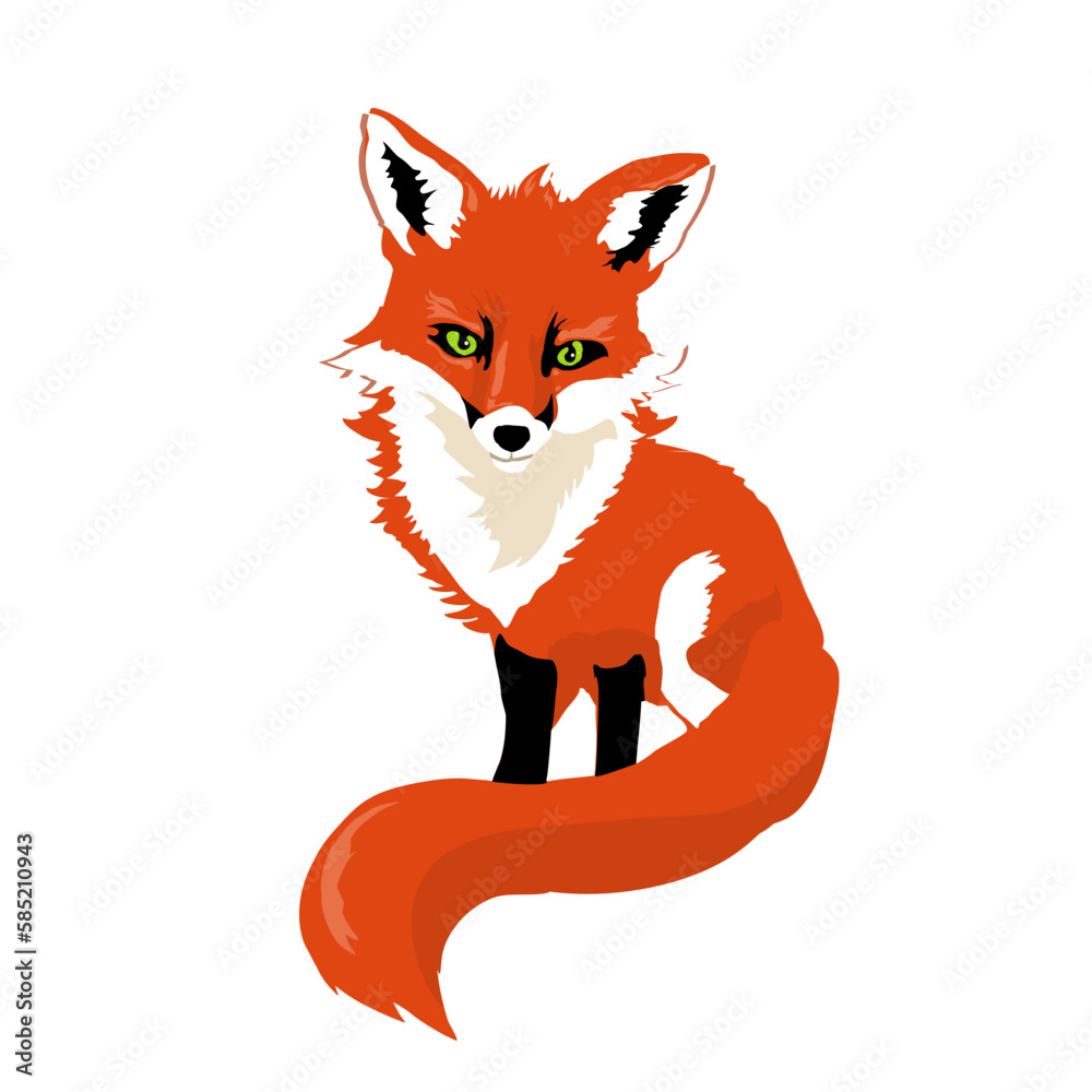Obraz premium red fox- vector illustration