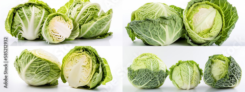 cabbage, food, vegetable, green, isolated, fresh, healthy, raw, white, leaf, vegetarian, organic, salad, diet, lettuce, brussels, ingredient, sprouts, head, vegetables, nutrition, nature, plant, objec