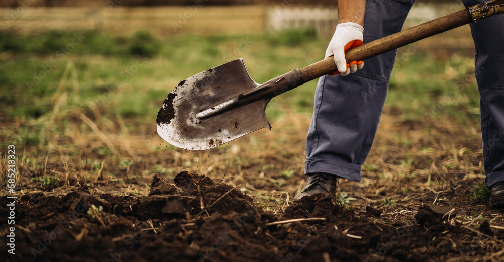 The gardener digs the garden with a shovel - obrazy, fototapety, plakaty 