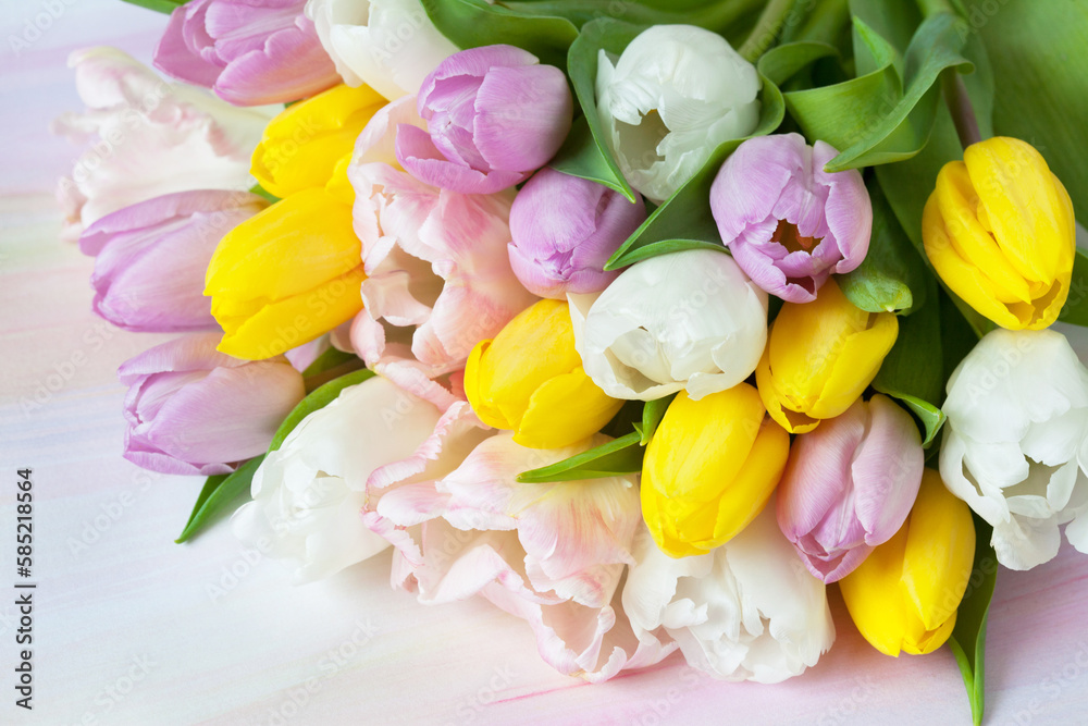 Obraz premium Bouquet of pink, white, yellow and purple tulips close-up on colorful watercolor paper background, beautiful postcard.