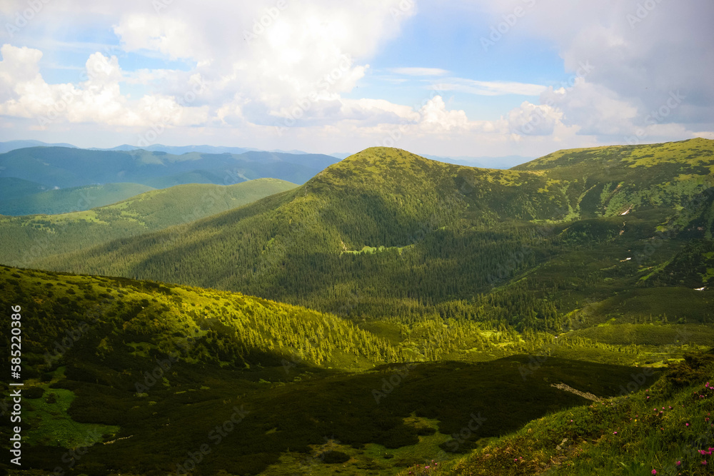 Fototapeta premium landscape with mountains