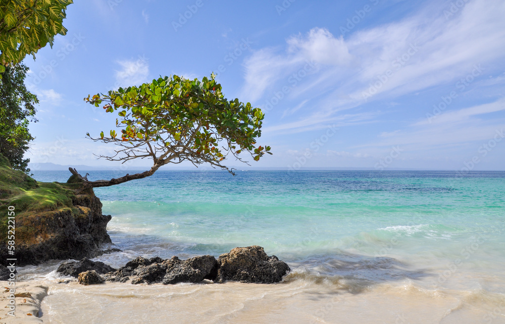 Paradise beach in the Caribbean Paradise beach in the Caribbean