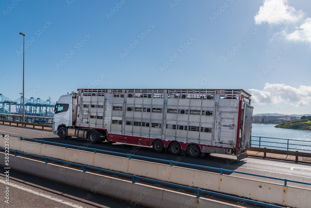 Cage truck for transporting cattle entering the port of Algeciras to embark for Africa.