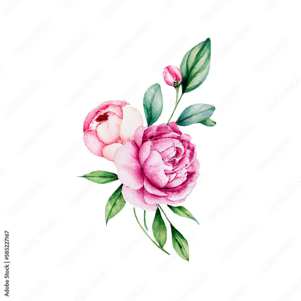 Watercolour peony blossom with green leaf bouquet. Flowers petal isolated on white background. Generative AI