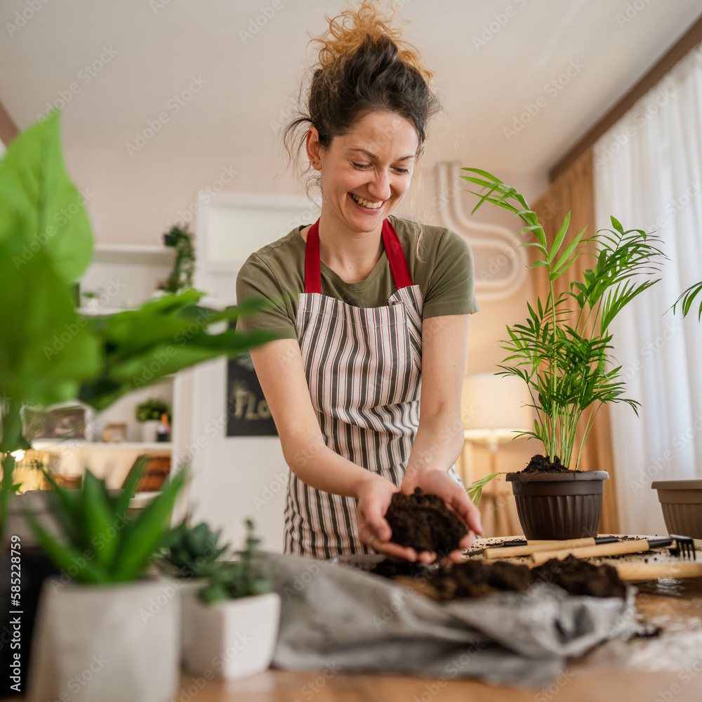 woman gardener florist take care grow cultivate plants at home woman gardener florist take care grow cultivate plants at home