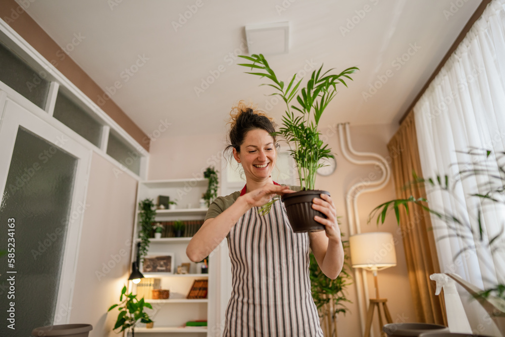 woman gardener florist take care grow cultivate plants at home woman gardener florist take care grow cultivate plants at home