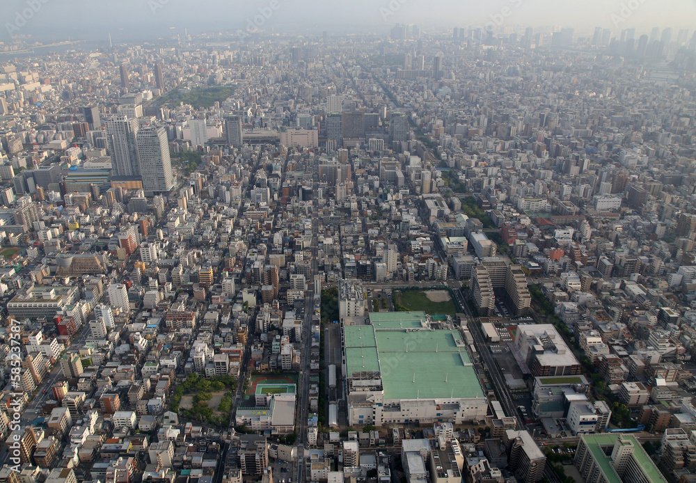 Panoramic aerial view of Tokyo, Japan. Tokyo urban city view from above