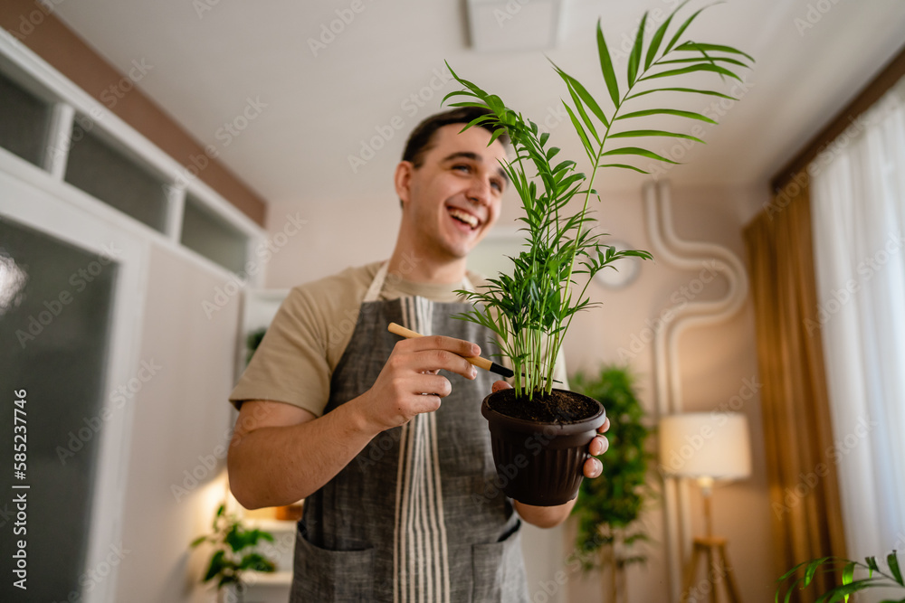 man gardener florist take care grow cultivate plants at home man gardener florist take care grow cultivate plants at home