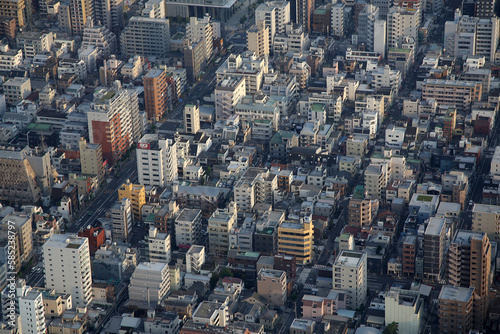 Panoramic aerial view of Tokyo, Japan. Tokyo urban city view from above