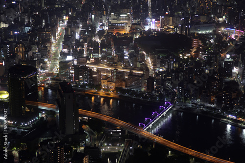 Panoramic aerial view of Tokyo  Japan. Tokyo urban city view from above