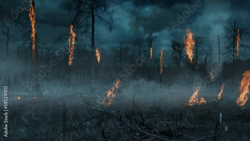 Burning Trees with Storm Clouded Sky 4K features a burnt area of a pine forest with some of the trees still on fire with a stormy lightning filled sky in the background.