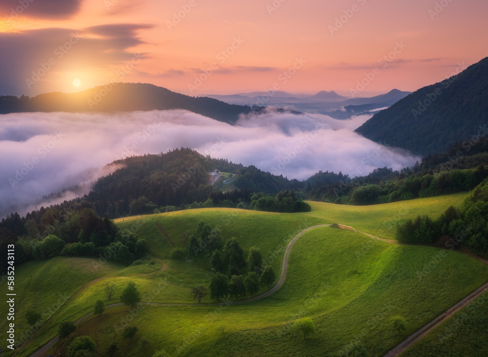 Aerial view of alpine meadows and mountains in low purple clouds at sunrise in summer. Top drone view of hills with green grass and trees in fog, colorful sky in Slovenia. Nature. Mountain valley
