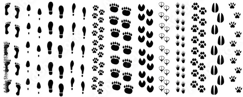 male footprints, female footprints, animal footprints, shoe footprints, footprints