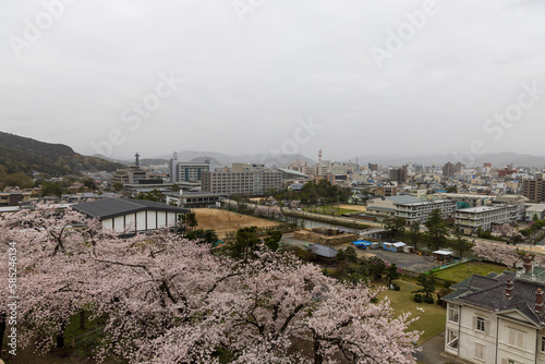 日本の鳥取県の桜の季節の鳥取城跡