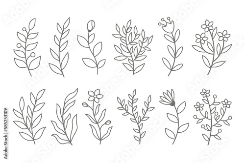 Outline botanical set of branches with flowers and leaves isolated on white background. Line art.