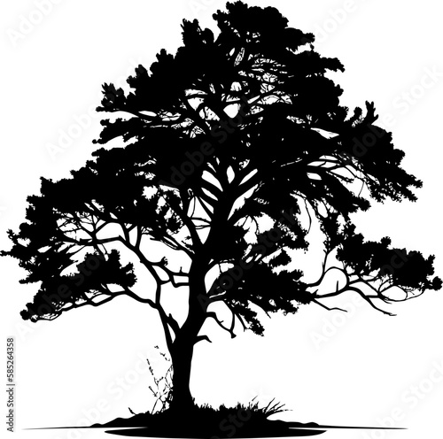 Tree black silhouette. Realistic tree silhouette isolated element. Black shadow shape isolated on white transparent background. Plotter laser cutting file. Vector Illustration.