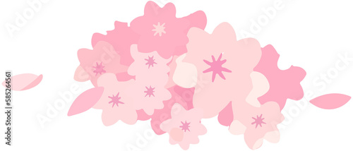 Cherry Blossom Petals