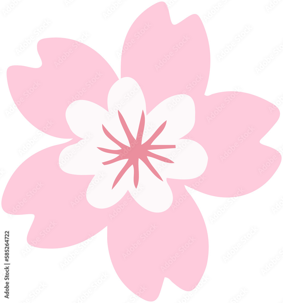 Cherry blossoms vector Cherry blossoms vector