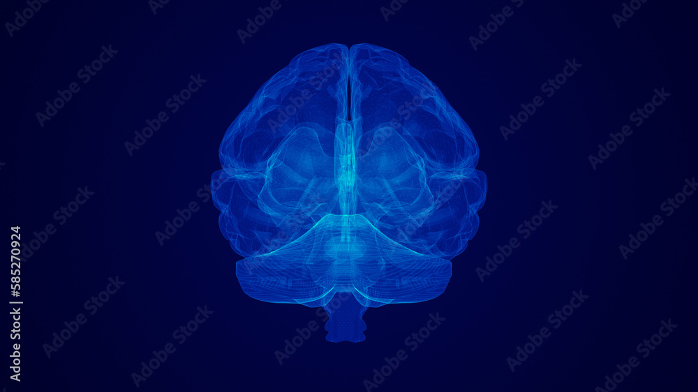 medical idea of the human brain medical idea of the human brain