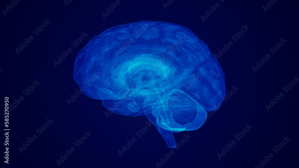 medical idea of the human brain medical idea of the human brain