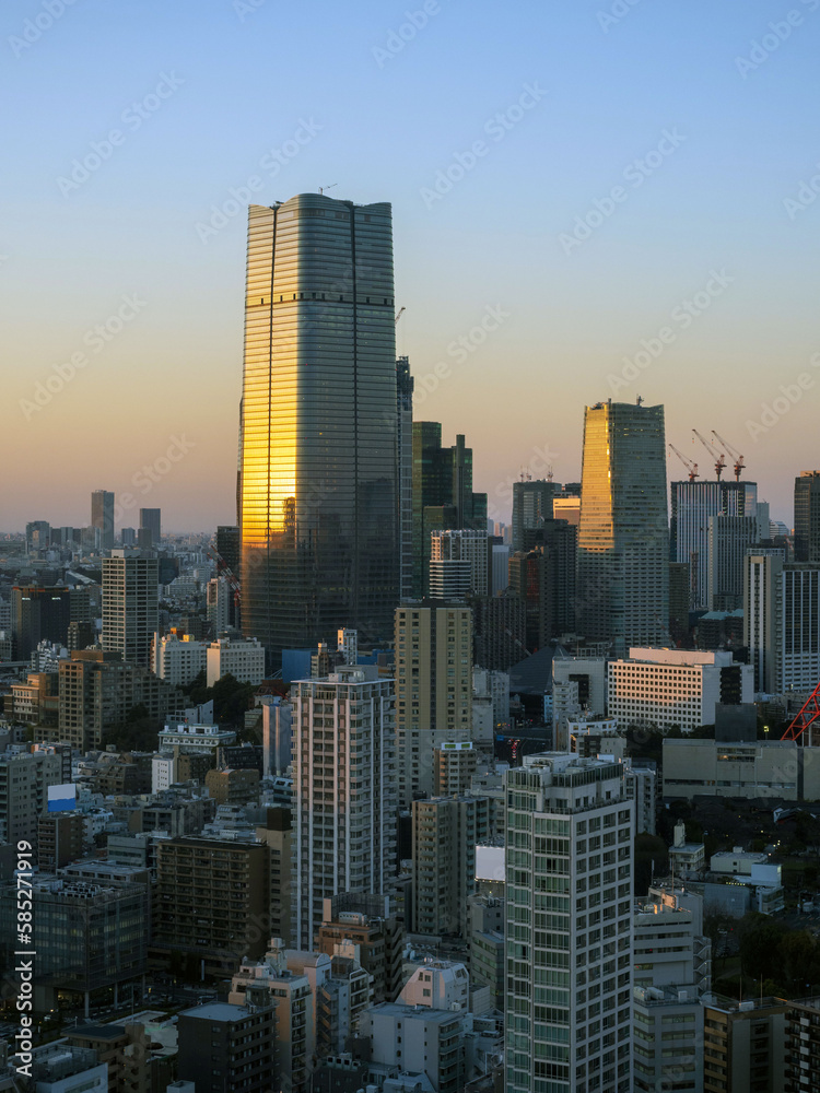 Tokyo city view at sunset time.