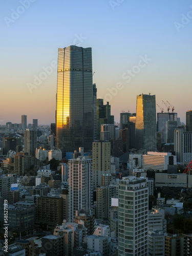 Tokyo city view at sunset time.