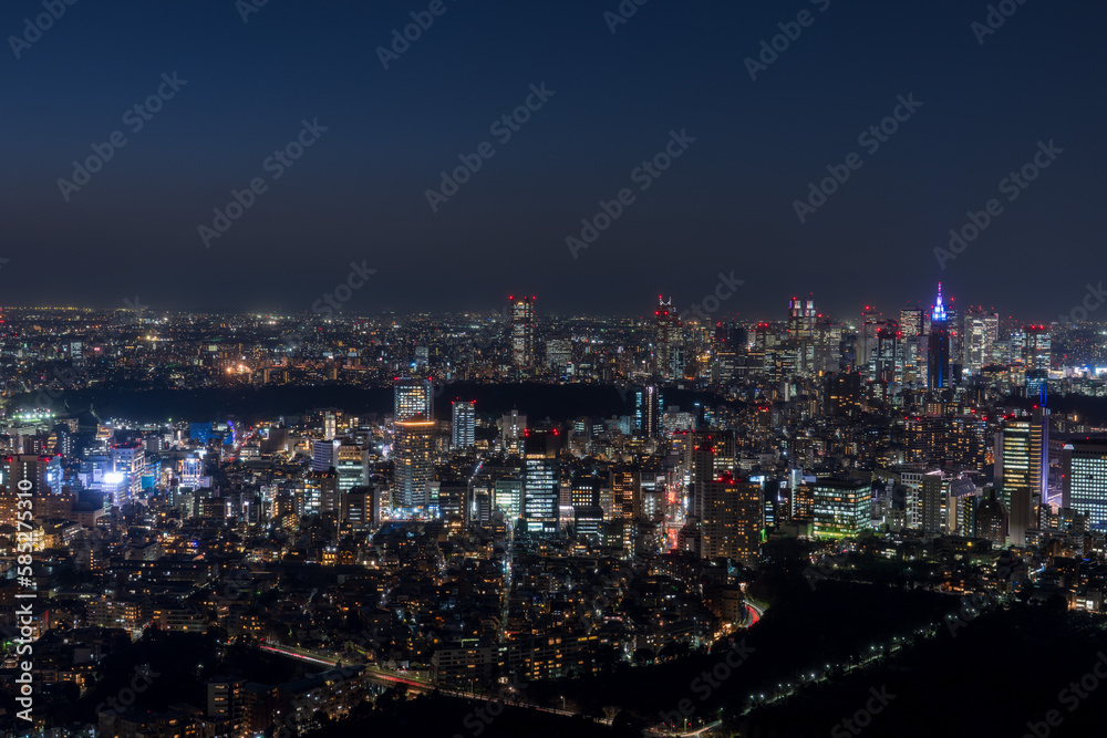 Tokyo Shinjyuku area panoramic view at night.	