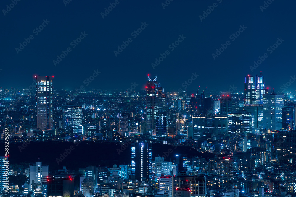 Tokyo Shinjyuku area panoramic view at night.	