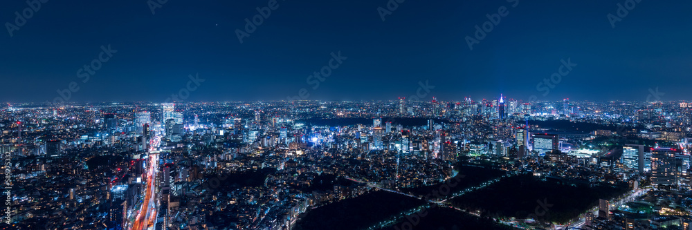Tokyo Shinjyuku and Shibuya area panoramic view at night.	
