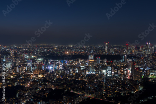 Tokyo Shinjyuku area panoramic view at night. © hit1912