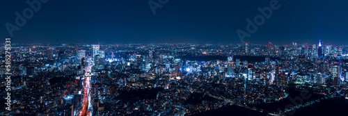 Tokyo Shinjyuku and Shibuya area panoramic view at night. 