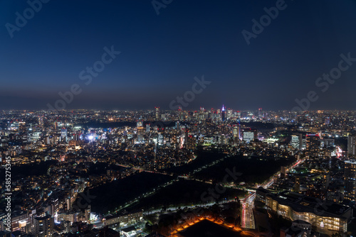 Tokyo Shinjyuku area panoramic view at night. 