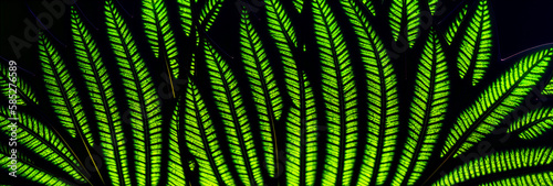 Illustration of a close-up of a lush green plant in a dense forest created with Generative AI technology