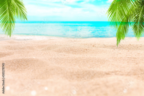 Tropical island paradise beach  green coconut palm tree leaf  sand  blue sea water turquoise ocean  sun sky white cloud  beautiful landscape  summer holidays  vacation  travel banner  empty copy space
