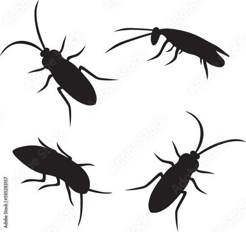 silhouette of cockroach
