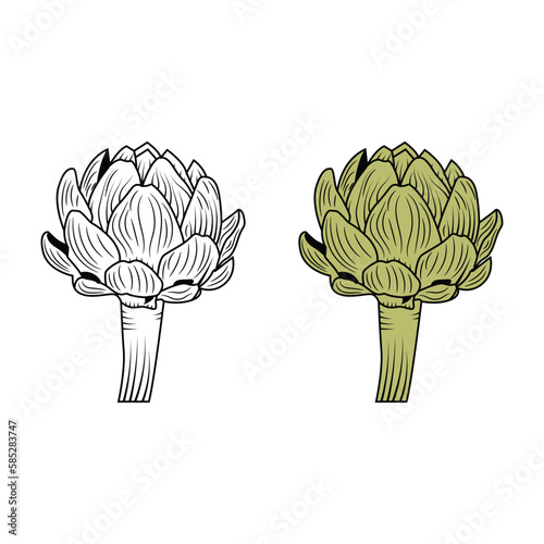 Artichoke flower engraved drawing vector illustration