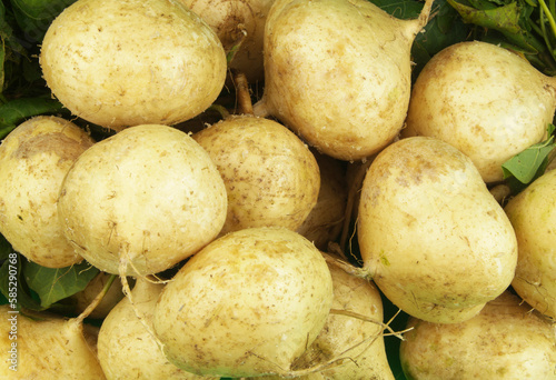 Many raw white turnips as background.