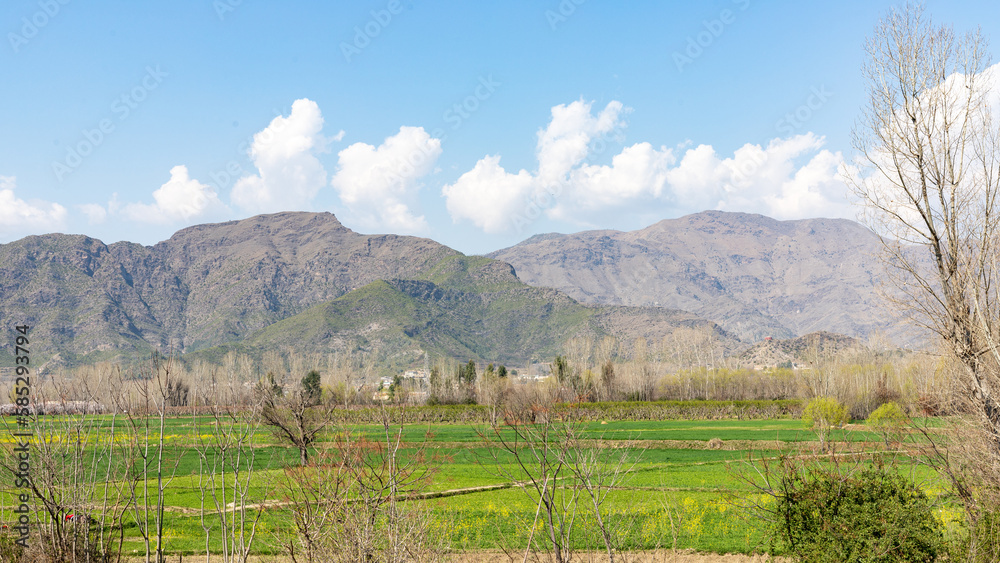 Splendid green field and blue sky with clouds on the mountain background