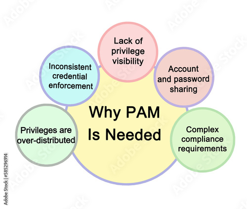 Why PAM IS Needed