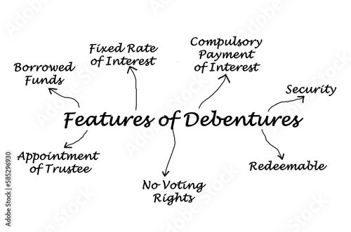  Seven Features of Debentures