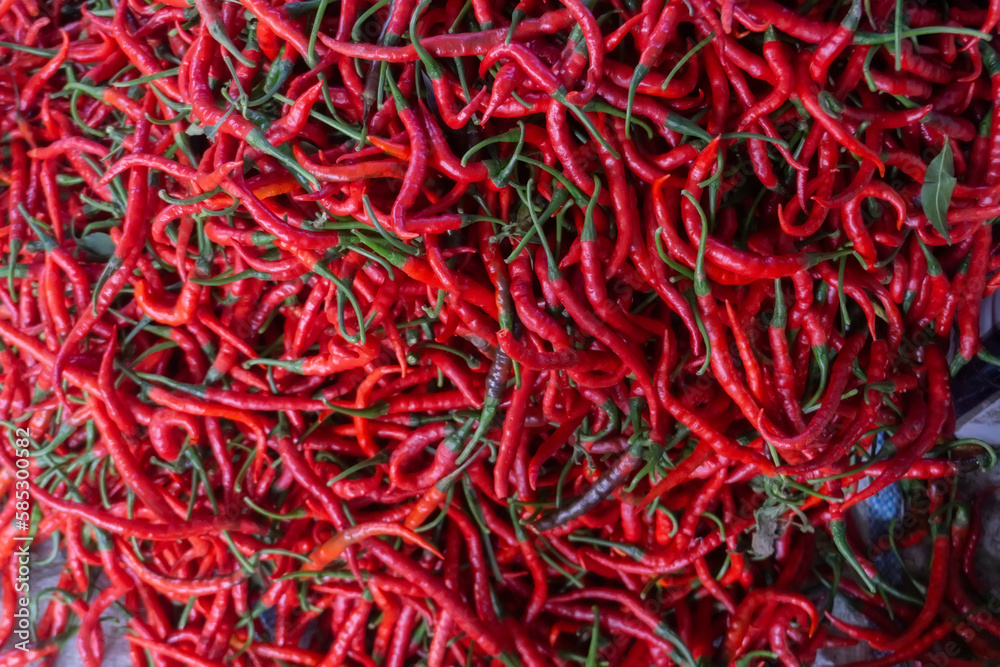Fresh red chilies were piled up and shot up close. Spicy red fruit for cooking ingredients