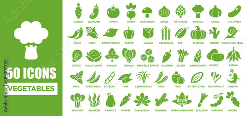 50 ICON OF VEGETABLES WITH THE NAME