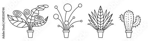 Set of plants in pots. Contour vector line drawing.