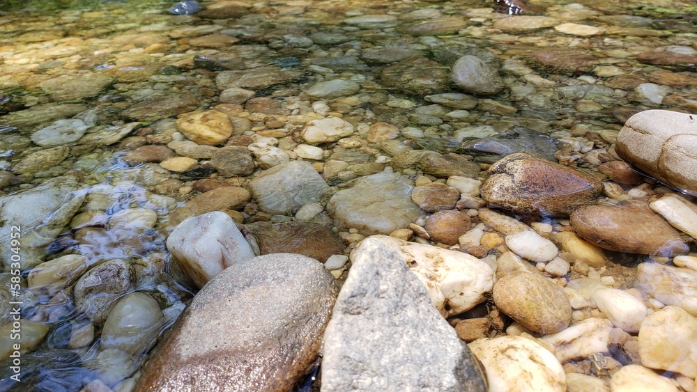 Obraz premium Nature Photography.