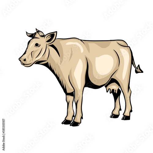 black and white cow  or sketch cow